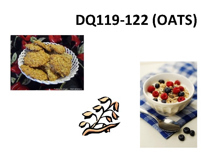 DQ 119 -122 (OATS) 