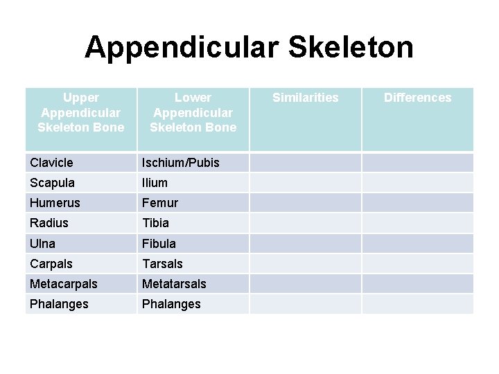 Appendicular Skeleton Upper Appendicular Skeleton Bone Lower Appendicular Skeleton Bone Clavicle Ischium/Pubis Scapula Ilium
