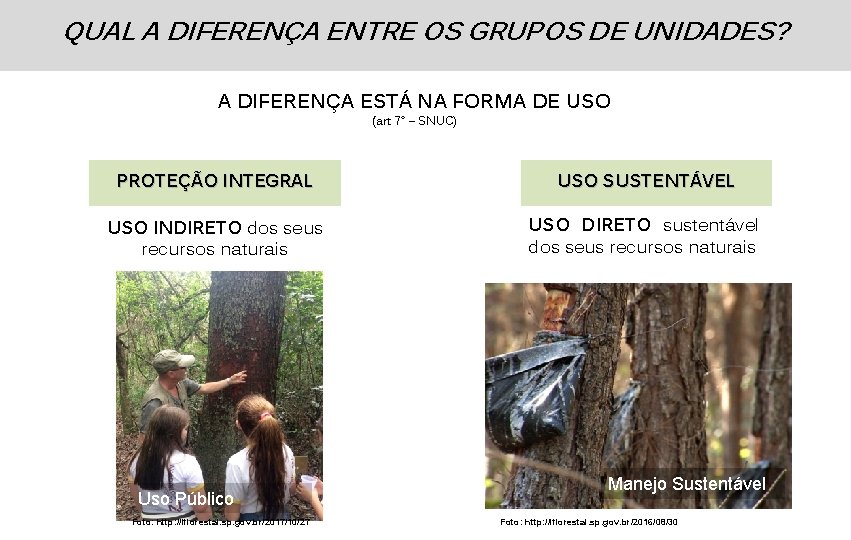 QUAL A DIFERENÇA ENTRE OS GRUPOS DE UNIDADES? A DIFERENÇA ESTÁ NA FORMA DE