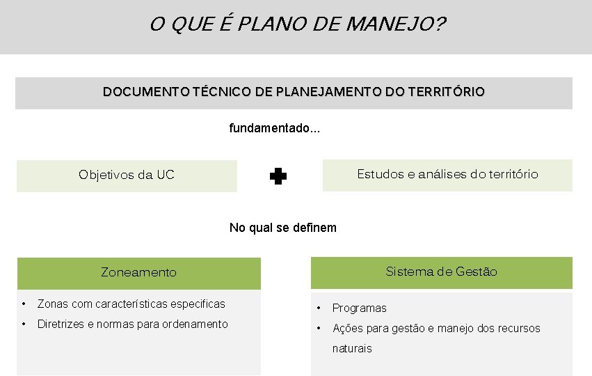 O QUE É PLANO DE MANEJO? DOCUMENTO TÉCNICO DE PLANEJAMENTO DO TERRITÓRIO fundamentado. .