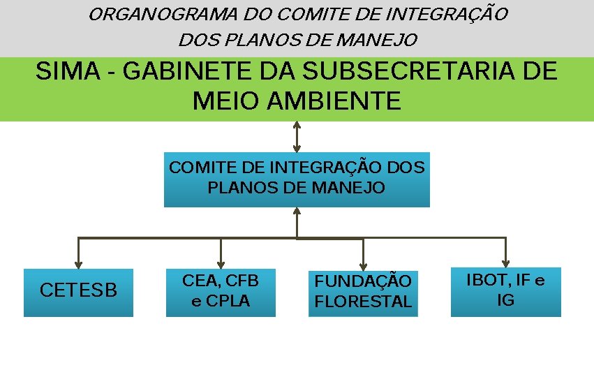 ORGANOGRAMA DO COMITE DE INTEGRAÇÃO DOS PLANOS DE MANEJO SIMA - GABINETE DA SUBSECRETARIA