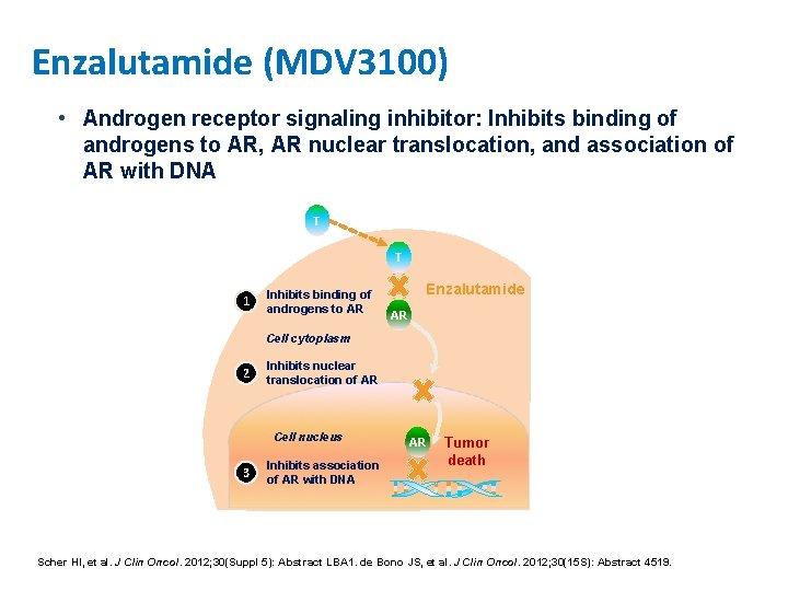 Enzalutamide (MDV 3100) • Androgen receptor signaling inhibitor: Inhibits binding of androgens to AR,