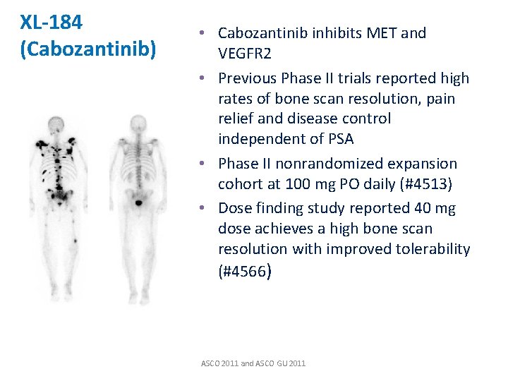 XL-184 (Cabozantinib) • Cabozantinib inhibits MET and VEGFR 2 • Previous Phase II trials