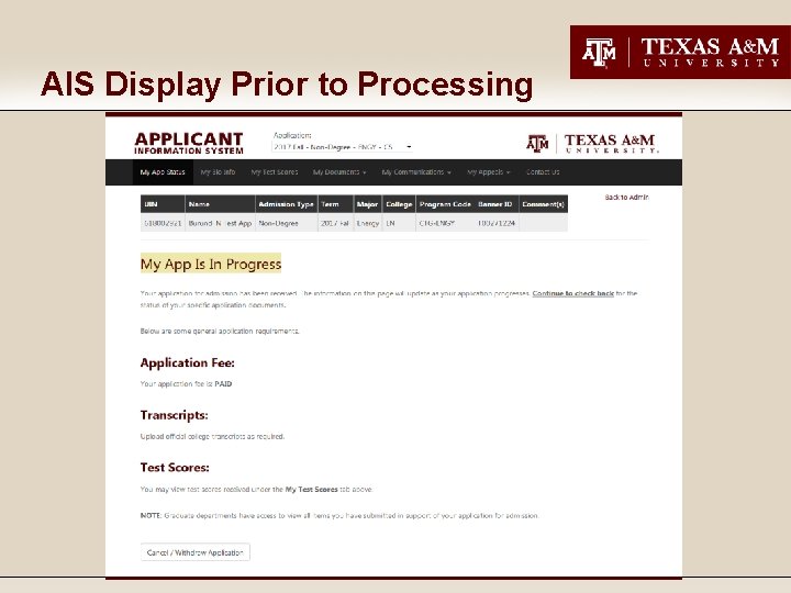 AIS Display Prior to Processing 