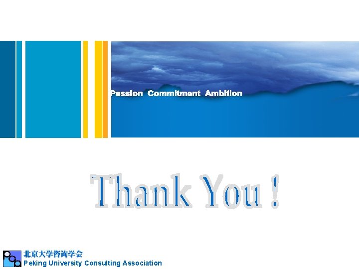 Peking University Consulting Association 