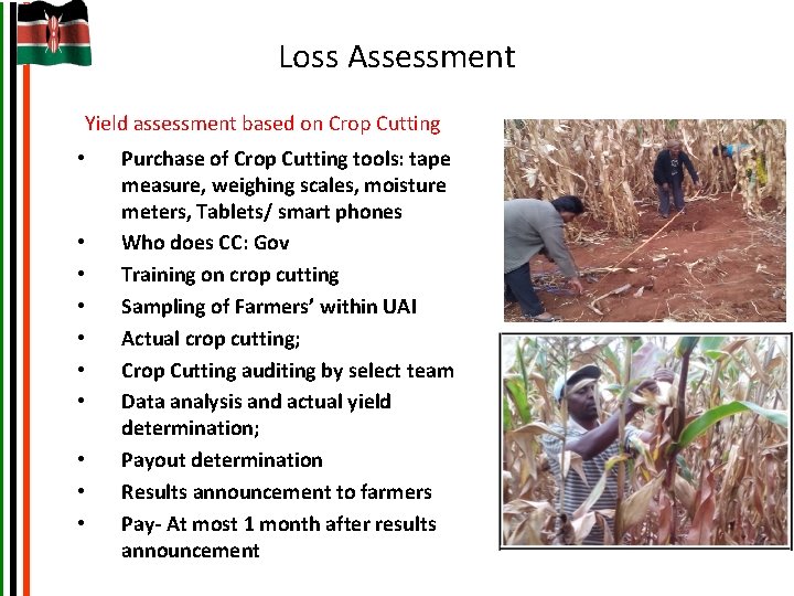 Loss Assessment Yield assessment based on Crop Cutting • • • Purchase of Crop