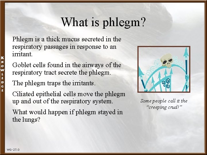 What is phlegm? Phlegm is a thick mucus secreted in the respiratory passages in