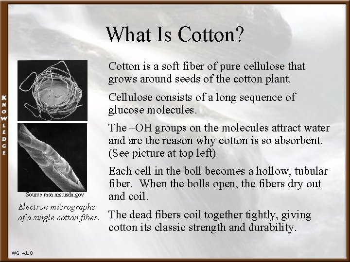 What Is Cotton? Cotton is a soft fiber of pure cellulose that grows around