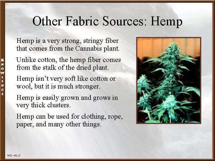 Other Fabric Sources: Hemp is a very strong, stringy fiber that comes from the