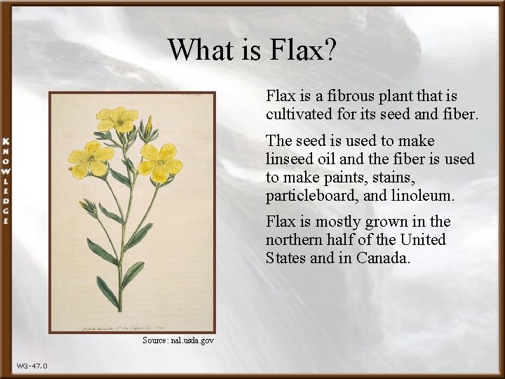 What is Flax? Flax is a fibrous plant that is cultivated for its seed