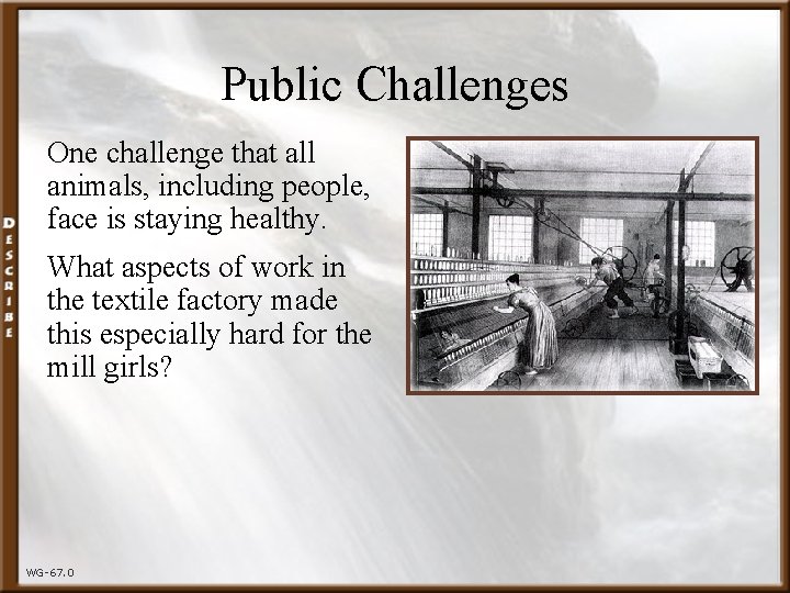 Public Challenges One challenge that all animals, including people, face is staying healthy. What