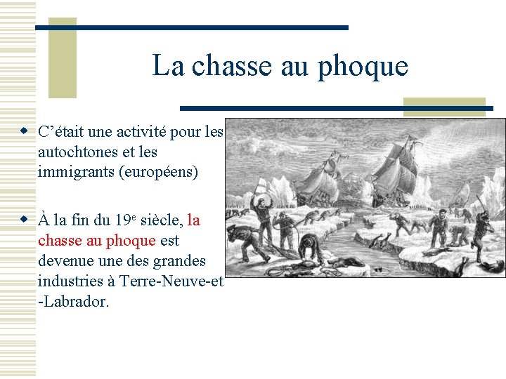 La chasse au phoque w C’était une activité pour les autochtones et les immigrants