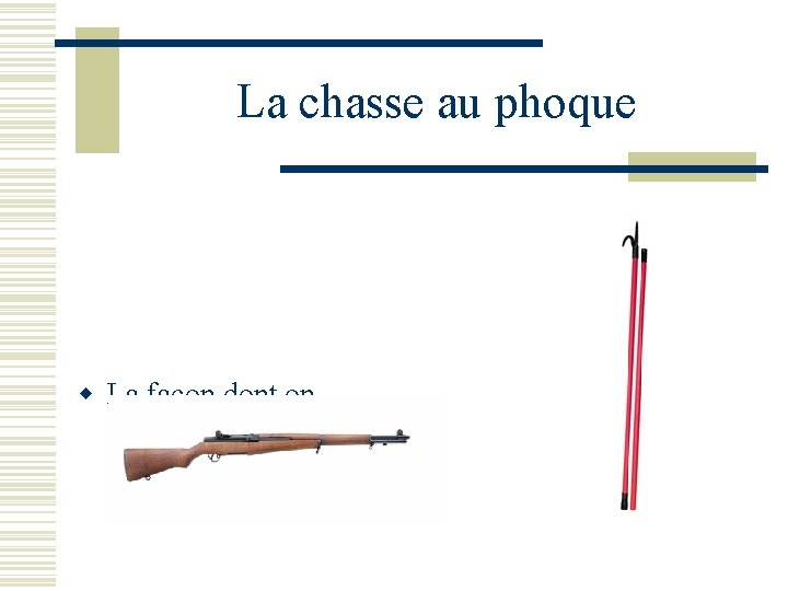 La chasse au phoque w La façon dont on chassait les phoques – avec