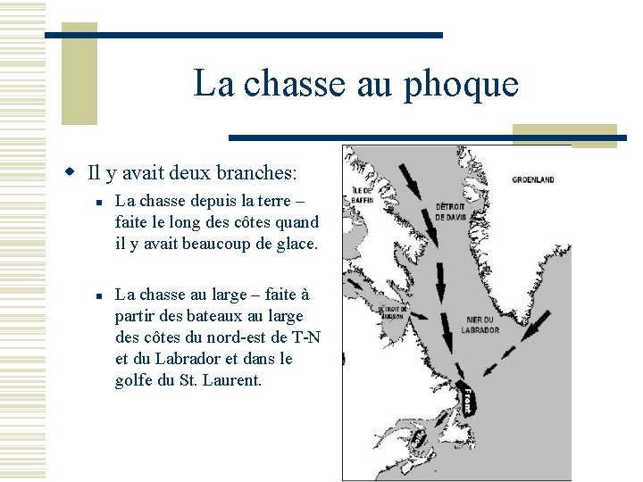 La chasse au phoque w Il y avait deux branches: n n La chasse