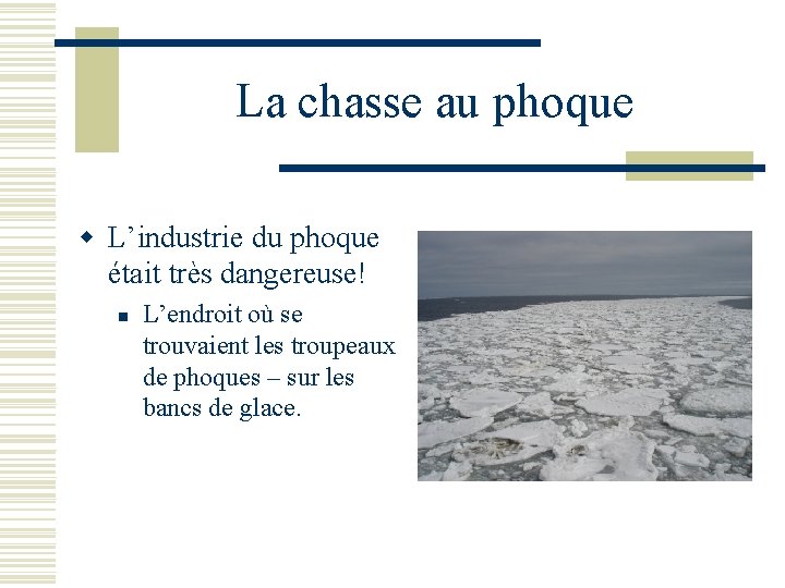 La chasse au phoque w L’industrie du phoque était très dangereuse! n L’endroit où
