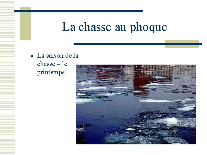 La chasse au phoque n La saison de la chasse – le printemps. 