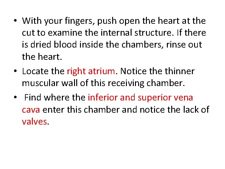  • With your fingers, push open the heart at the cut to examine
