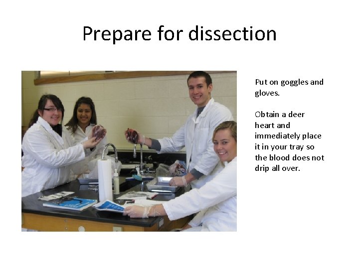 Prepare for dissection Put on goggles and gloves. Obtain a deer heart and immediately
