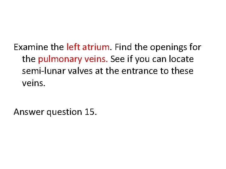 Examine the left atrium. Find the openings for the pulmonary veins. See if you