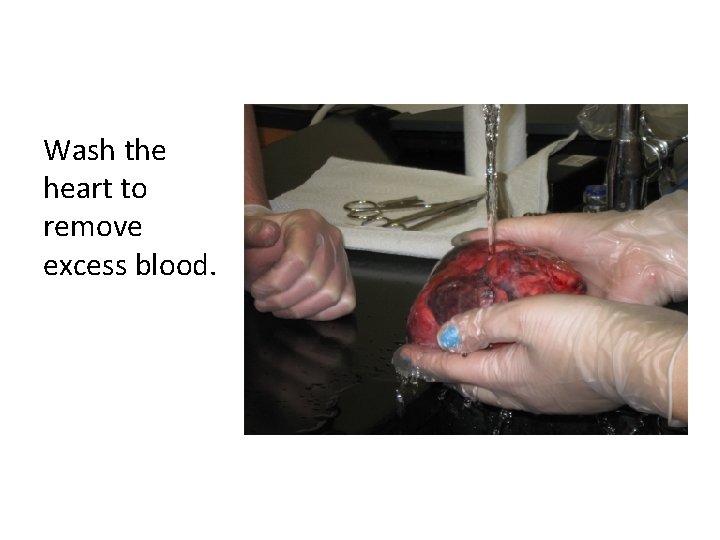 Wash the heart to remove excess blood. 