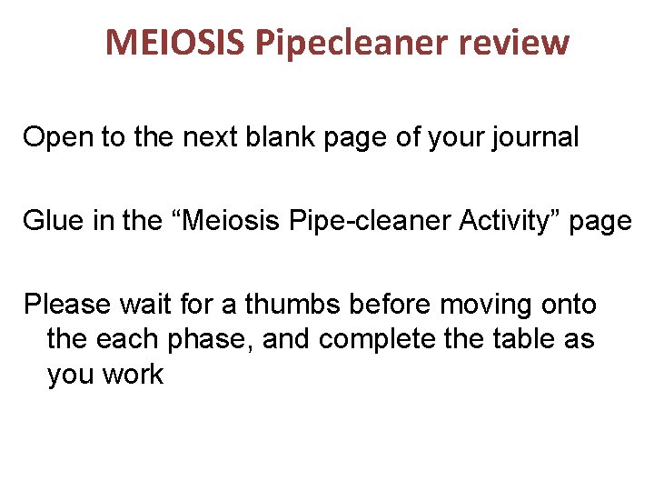 MEIOSIS Pipecleaner review Open to the next blank page of your journal Glue in
