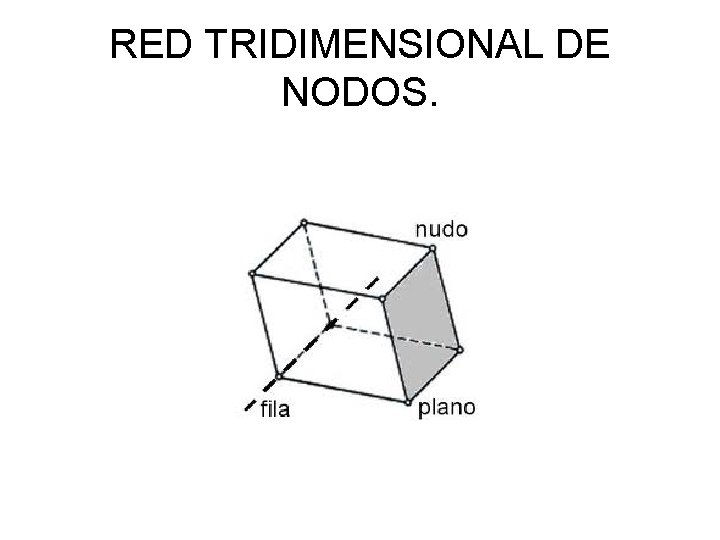 RED TRIDIMENSIONAL DE NODOS. 