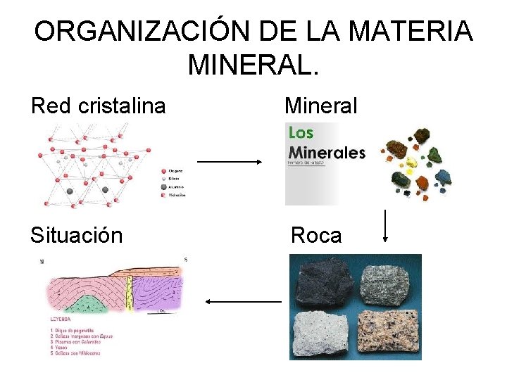 ORGANIZACIÓN DE LA MATERIA MINERAL. Red cristalina Mineral Situación Roca 