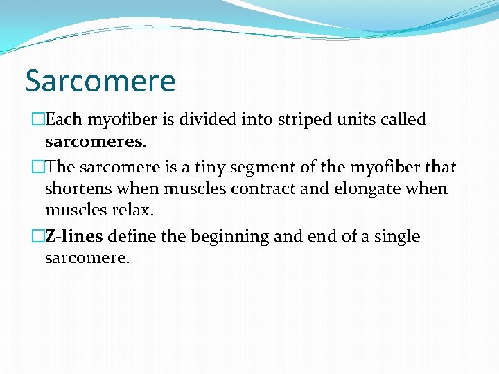 Sarcomere �Each myofiber is divided into striped units called sarcomeres. �The sarcomere is a