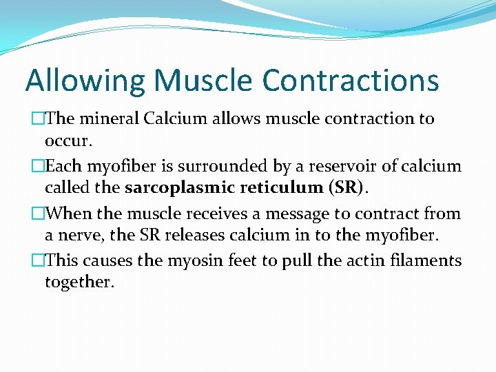 Allowing Muscle Contractions �The mineral Calcium allows muscle contraction to occur. �Each myofiber is