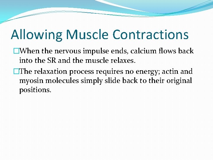 Allowing Muscle Contractions �When the nervous impulse ends, calcium flows back into the SR