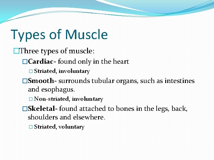 Types of Muscle �Three types of muscle: �Cardiac- found only in the heart �