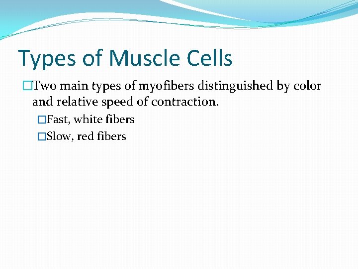 Types of Muscle Cells �Two main types of myofibers distinguished by color and relative