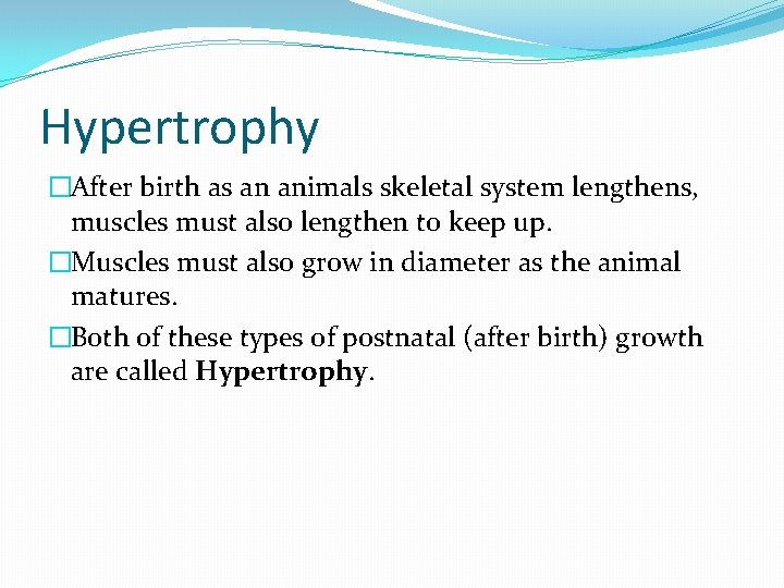 Hypertrophy �After birth as an animals skeletal system lengthens, muscles must also lengthen to