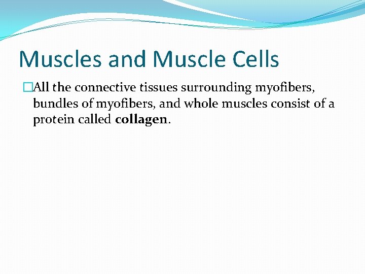 Muscles and Muscle Cells �All the connective tissues surrounding myofibers, bundles of myofibers, and