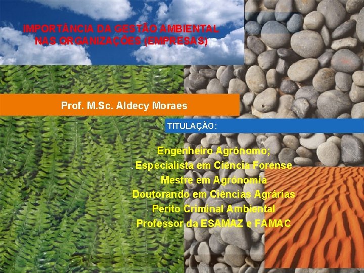IMPORT NCIA DA GESTÃO AMBIENTAL NAS ORGANIZAÇÕES (EMPRESAS) Prof. M. Sc. Aldecy Moraes TITULAÇÃO: