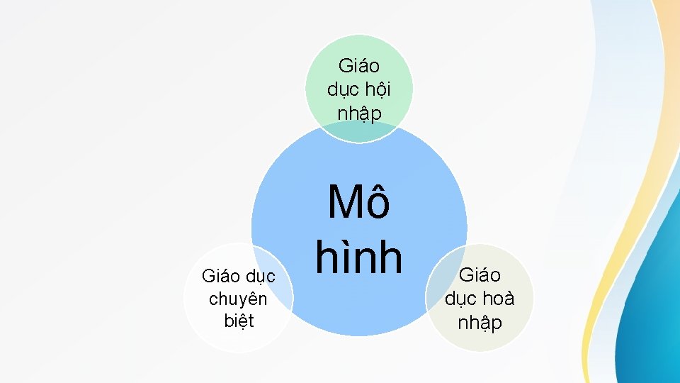 Giáo dục hội nhập Giáo dục chuyên biệt Mô hình Giáo dục hoà nhập