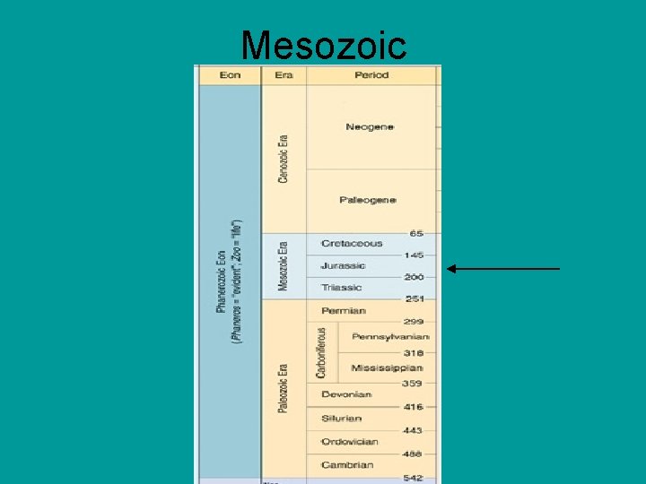 Mesozoic 