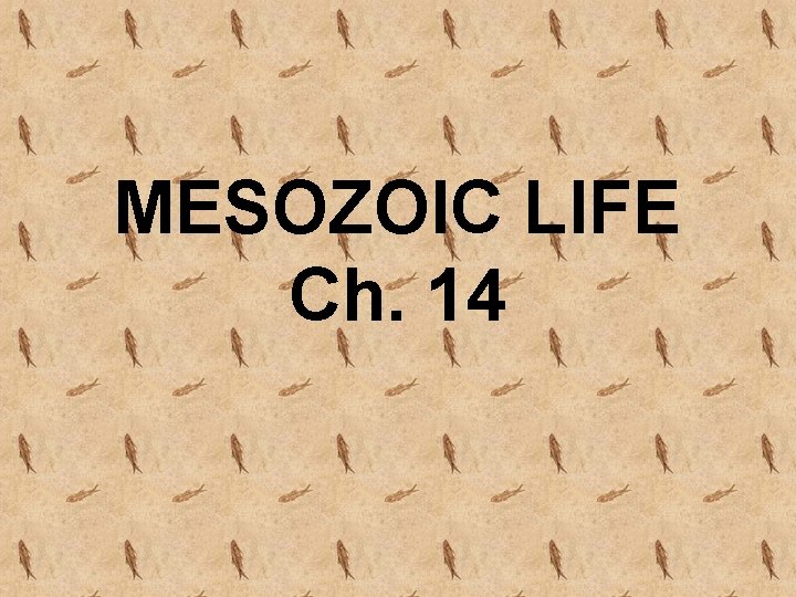 MESOZOIC LIFE Ch. 14 