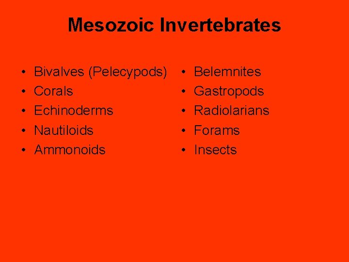 Mesozoic Invertebrates • • • Bivalves (Pelecypods) Corals Echinoderms Nautiloids Ammonoids • • •