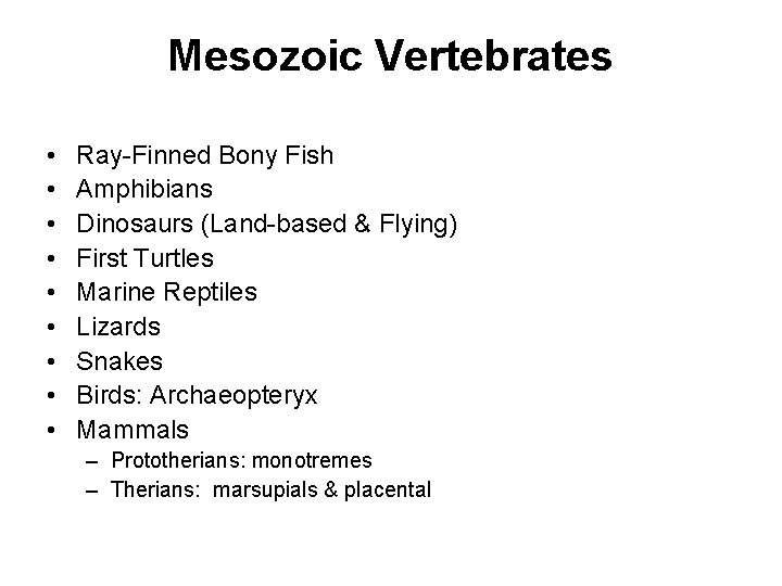 Mesozoic Vertebrates • • • Ray-Finned Bony Fish Amphibians Dinosaurs (Land-based & Flying) First