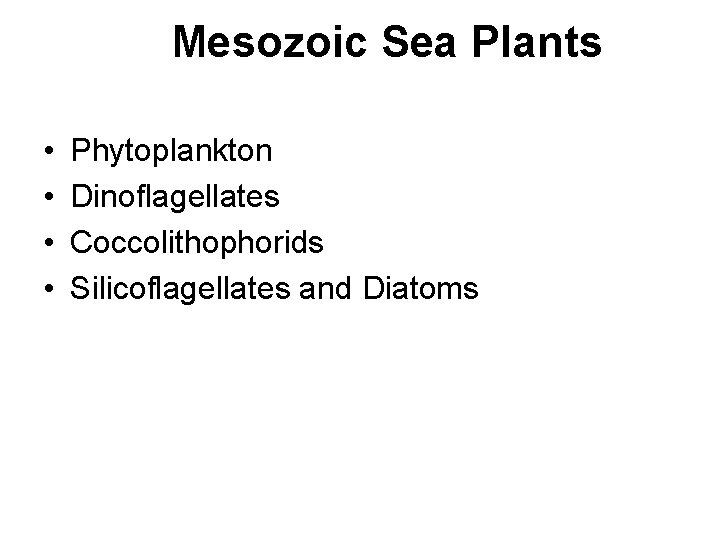 Mesozoic Sea Plants • • Phytoplankton Dinoflagellates Coccolithophorids Silicoflagellates and Diatoms 