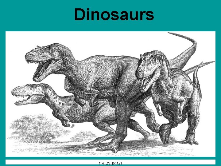 Dinosaurs f 14_25_pg 421 