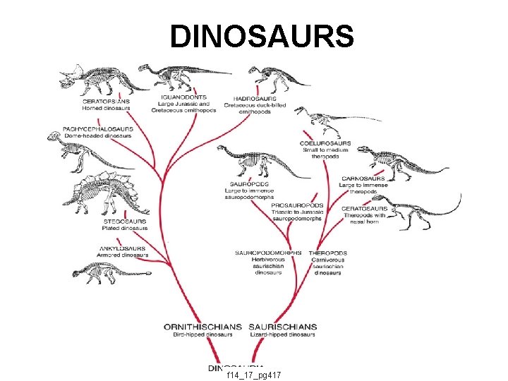 DINOSAURS f 14_17_pg 417 