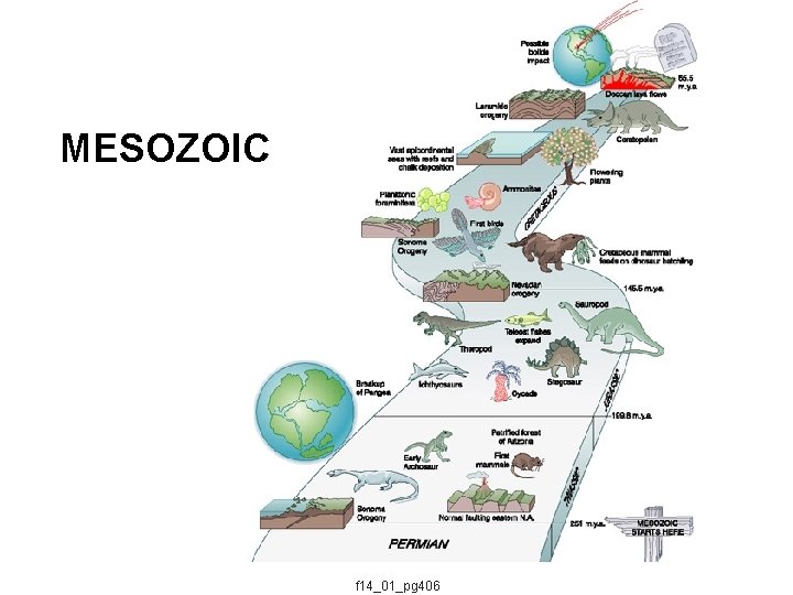 MESOZOIC f 14_01_pg 406 