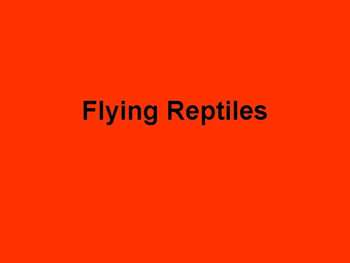 Flying Reptiles 