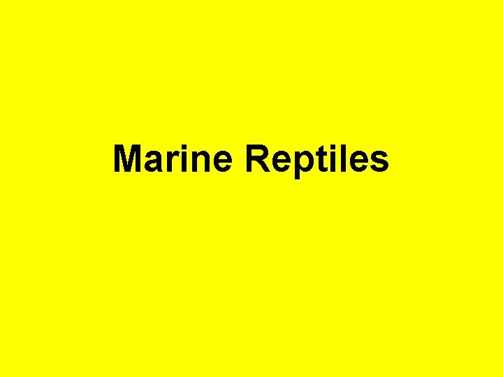 Marine Reptiles 