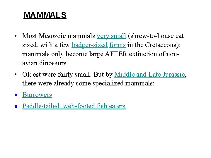 MAMMALS • Most Mesozoic mammals very small (shrew-to-house cat sized, with a few badger-sized