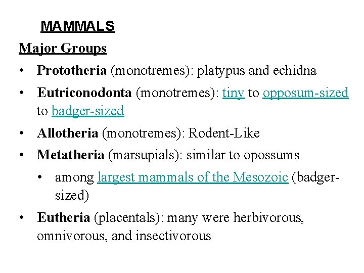 MAMMALS Major Groups • Prototheria (monotremes): platypus and echidna • Eutriconodonta (monotremes): tiny to