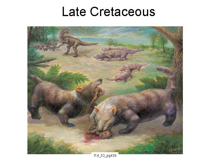 Late Cretaceous f 14_53_pg 439 