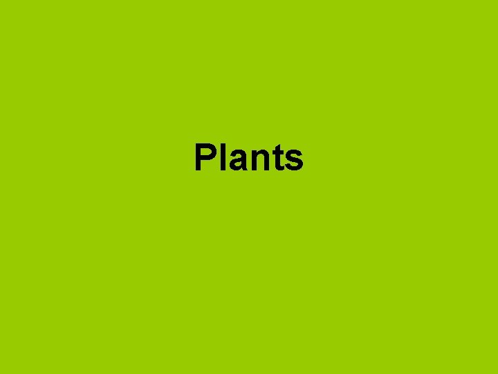 Plants 